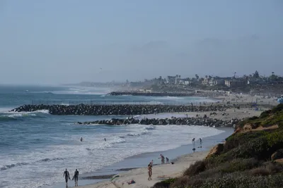 DSC_6963 (Large).JPG